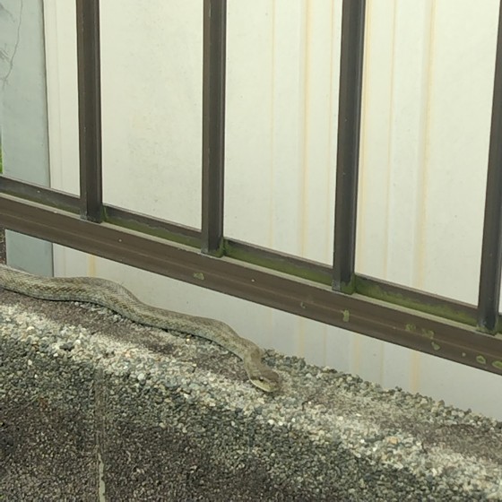 まさかこんなところで？！